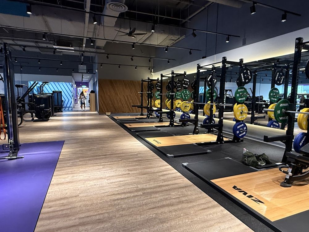Gym floor with power racks, weight plates and timber-look flooring