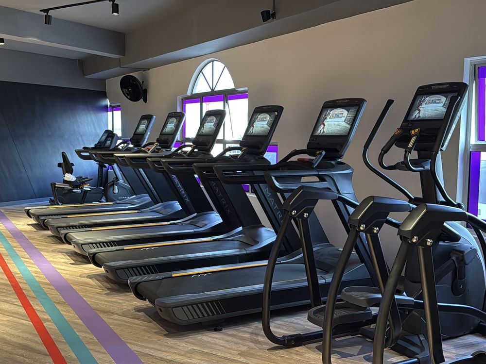 Row of treadmills and cross-trainers beside an arched window, with coloured floor lanes